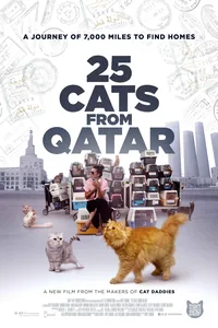 25 Cats From Qatar (InDPanda) poster