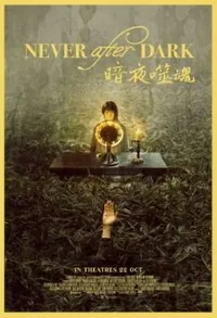 Never After Dark (JPN)